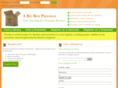 bigboxprogram.com