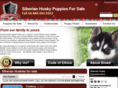 siberianhuskypuppiesforsale.net
