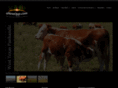 anewopp.com