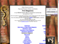 bellydancemagazine.info