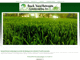 br-landscaping.com