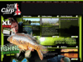 fryerningfisheries.com
