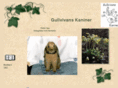 gullvivans-kaniner.net