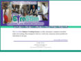 gyrostim.com