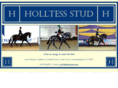 hacksandridinghorses.com