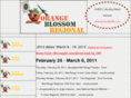 orangeblossomregional.com