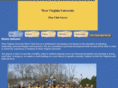 wvumenclubsoccer.com
