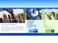 amtexenterprises.com