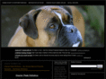 friends-of-the-shelter.com