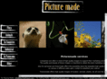 buythepicture.com