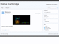 nativecambridge.com