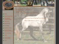 sacredspringsfarm.com