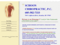 schoonchiropractic.com