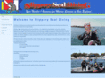 ssdiving.com