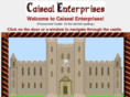 caisealenterprises.com