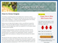 grapevinetograpewine.com