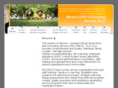marsonconsulting.com