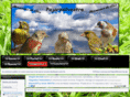 pajarosilvestre.com
