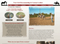 truegritnaturalhorsemanship.com