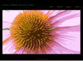coneflowerproductions.com