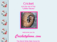 cricketyboom.com