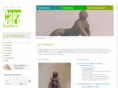 fundacioncapa.com