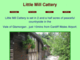 littlemillcattery.com