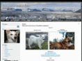 southstaricelandics.co.nz