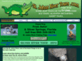 stjohnsrivertours.com
