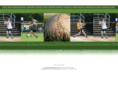 bcwsl.com
