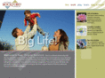 bigcitylittlelife.com