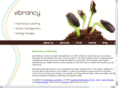 vibrancyinc.com