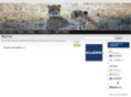 bigfiveexplorer.com