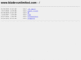 bizdevunlimited.com