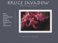 brucesavadow.com