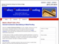 hulseyprofessionalroofing.com