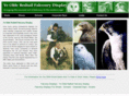 falconrydisplays.com