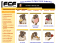 fcfpopcorn.com