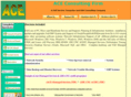 aceconsultingfirm.com