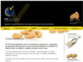 ftafoodsolutions.com.au
