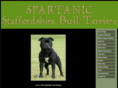 spartanic.com