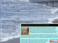 beachfrontrentalsva.com