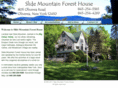 slidemountain-inn.com