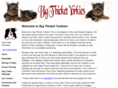 bigthicketyorkies.com