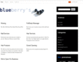 blueberryssalon.com
