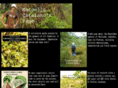 carnivorousplants.it