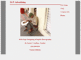 dpadvertising.com