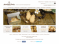 honolulucookie.com