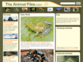 theanimalfiles.com