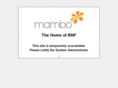 bnf-soft.com